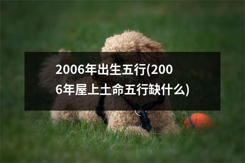 2006年出生五行(2006年屋上土命五行缺什么)