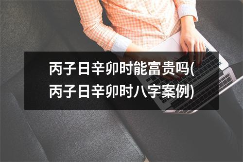 丙子日辛卯时能富贵吗(丙子日辛卯时八字案例)