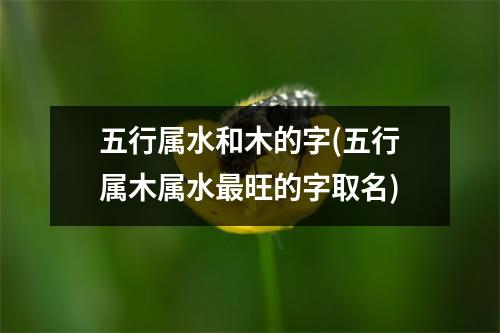 五行属水和木的字(五行属木属水旺的字取名)