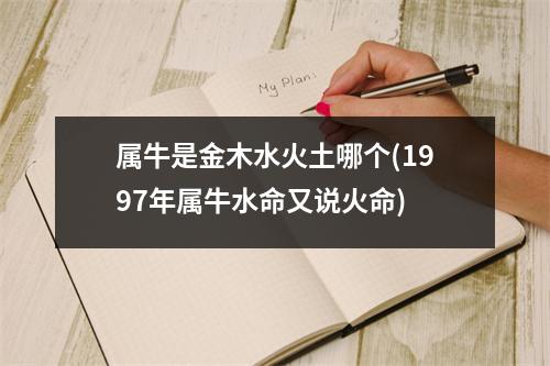 属牛是金木水火土哪个(1997年属牛水命又说火命)