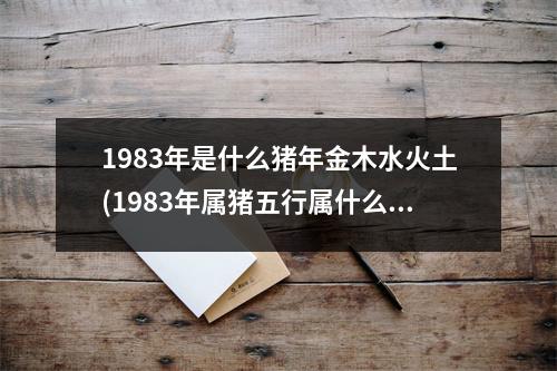 1983年是什么猪年金木水火土(1983年属猪五行属什么命)