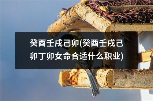 癸酉壬戌己卯(癸酉壬戌己卯丁卯女命合适什么职业)