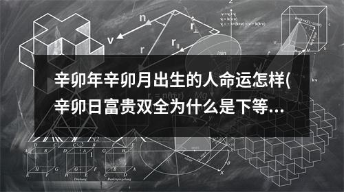 辛卯年辛卯月出生的人命运怎样(辛卯日富贵双全为什么是下等日柱)