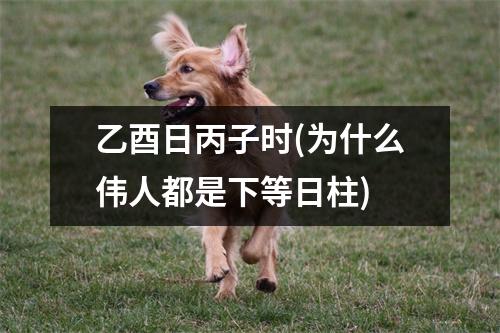 乙酉日丙子时(为什么伟人都是下等日柱)