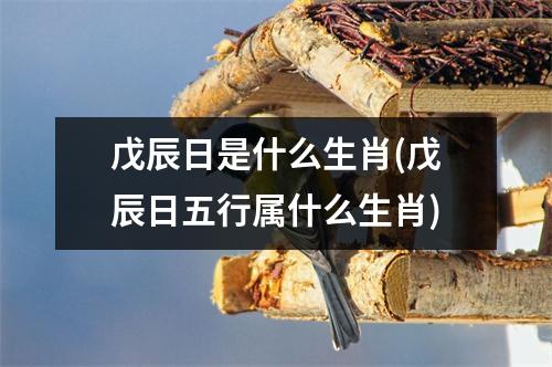 戊辰日是什么生肖(戊辰日五行属什么生肖)