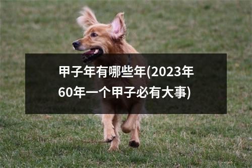 甲子年有哪些年(2023年60年一个甲子必有大事)