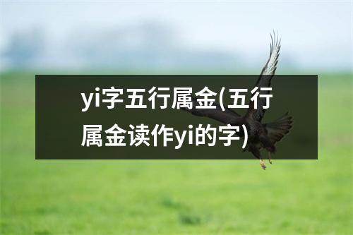 yi字五行属金(五行属金读作yi的字)