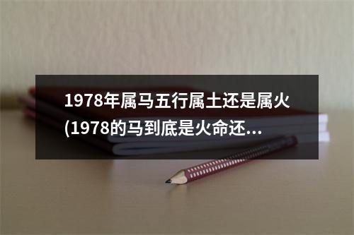 1978年属马五行属土还是属火(1978的马到底是火命还是土命)