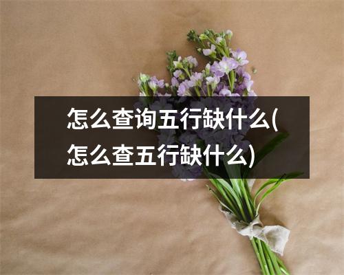 怎么查询五行缺什么(怎么查五行缺什么)