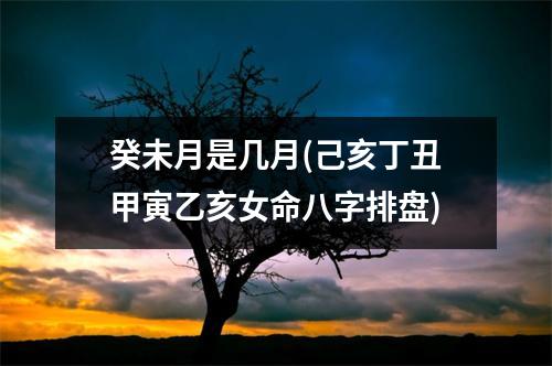 癸未月是几月(己亥丁丑甲寅乙亥女命八字排盘)