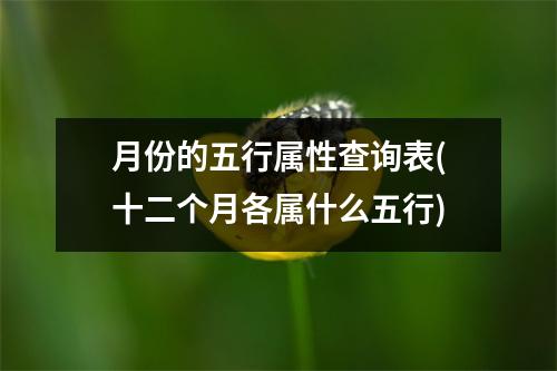 月份的五行属性查询表(十二个月各属什么五行)