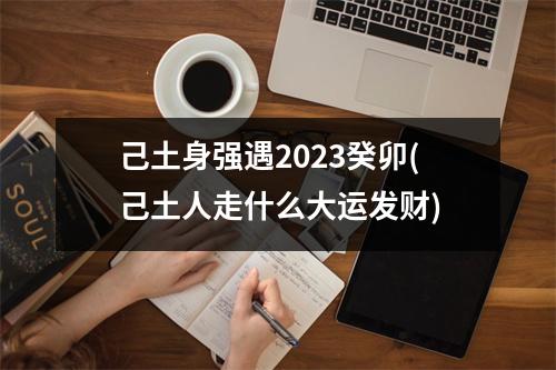 己土身强遇2023癸卯(己土人走什么大运发财)