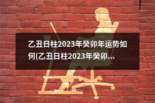 乙丑日柱2023年癸卯年运势如何(乙丑日柱2023年癸卯年运势如何呢)