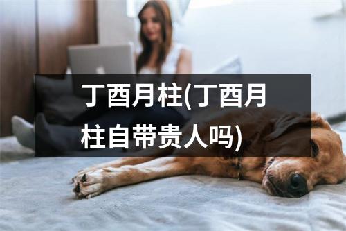 丁酉月柱(丁酉月柱自带贵人吗)