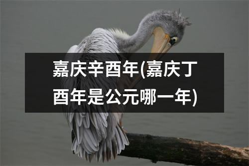 嘉庆辛酉年(嘉庆丁酉年是公元哪一年)