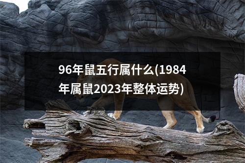 96年鼠五行属什么(1984年属鼠2023年整体运势)