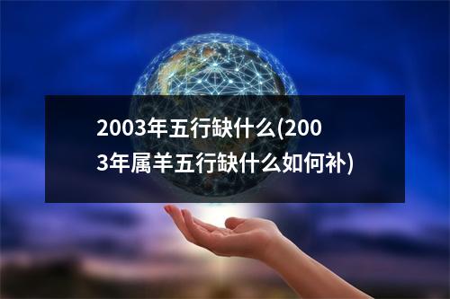 2003年五行缺什么(2003年属羊五行缺什么如何补)