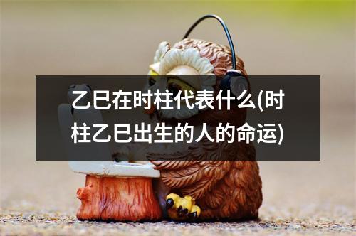 乙巳在时柱代表什么(时柱乙巳出生的人的命运)