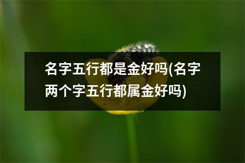 名字五行都是金好吗(名字两个字五行都属金好吗)