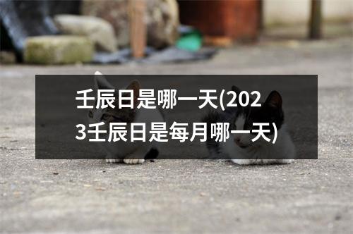 壬辰日是哪一天(2023壬辰日是每月哪一天)