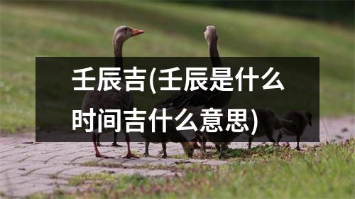 壬辰吉(壬辰是什么时间吉什么意思)