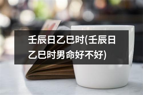 壬辰日乙巳时(壬辰日乙巳时男命好不好)