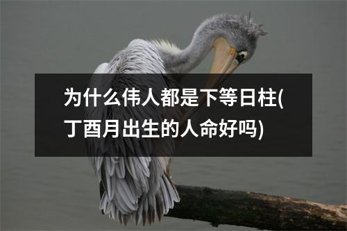 为什么伟人都是下等日柱(丁酉月出生的人命好吗)