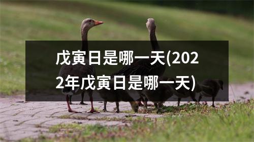 戊寅日是哪一天(2022年戊寅日是哪一天)