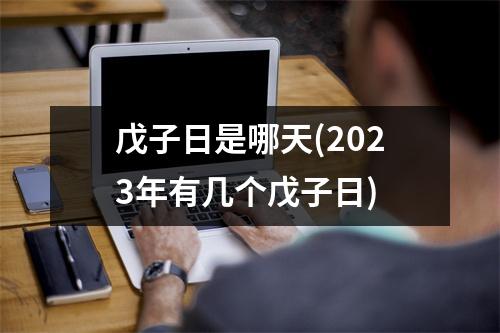 戊子日是哪天(2023年有几个戊子日)