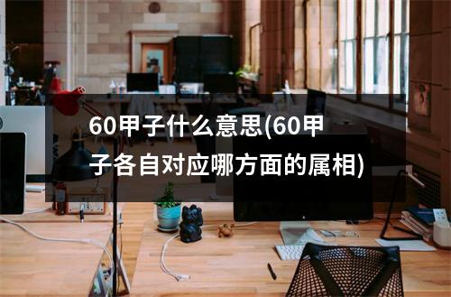 60甲子什么意思(60甲子各自对应哪方面的属相)