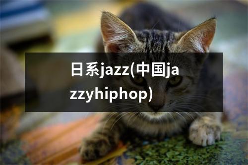 日系jazz(jazzyhiphop)