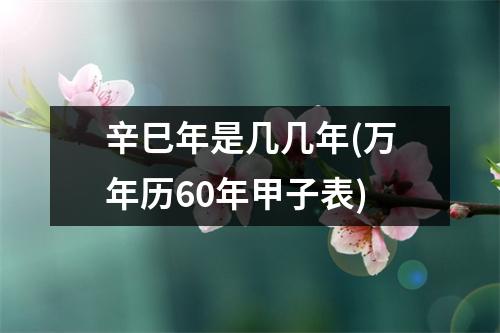 辛巳年是几几年(万年历60年甲子表)