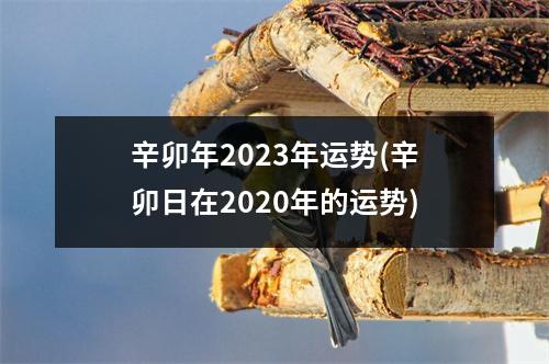 辛卯年2023年运势(辛卯日在2020年的运势)