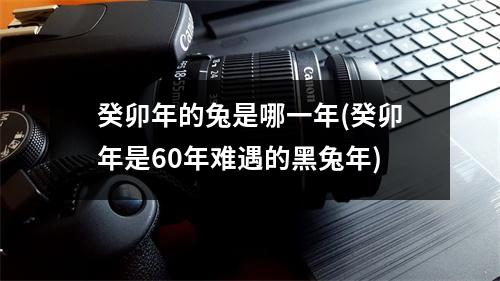 癸卯年的兔是哪一年(癸卯年是60年难遇的黑兔年)