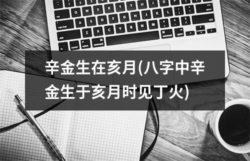 辛金生在亥月(八字中辛金生于亥月时见丁火)