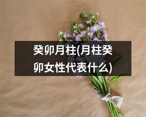 癸卯月柱(月柱癸卯女性代表什么)