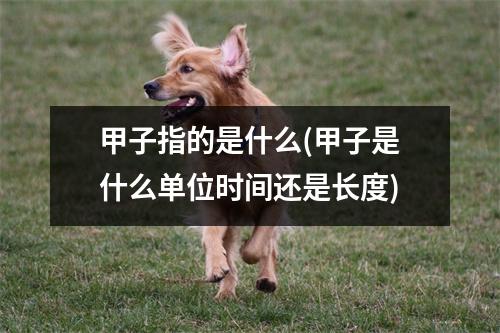 甲子指的是什么(甲子是什么单位时间还是长度)