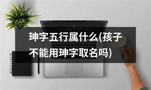 珅字五行属什么(孩子不能用珅字取名吗)