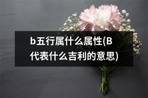 b五行属什么属性(B代表什么吉利的意思)