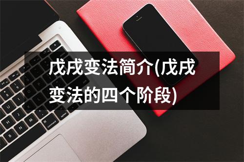 戊戌变法简介(戊戌变法的四个阶段)