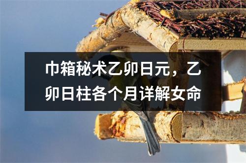 巾箱秘术乙卯日元，乙卯日柱各个月详解女命