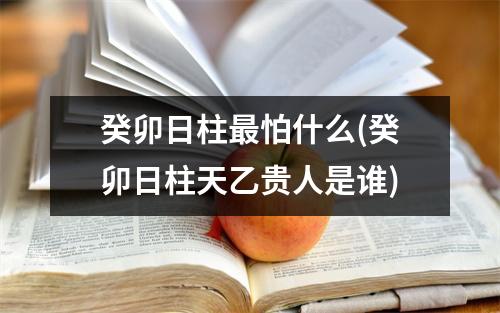 癸卯日柱最怕什么(癸卯日柱天乙贵人是谁)