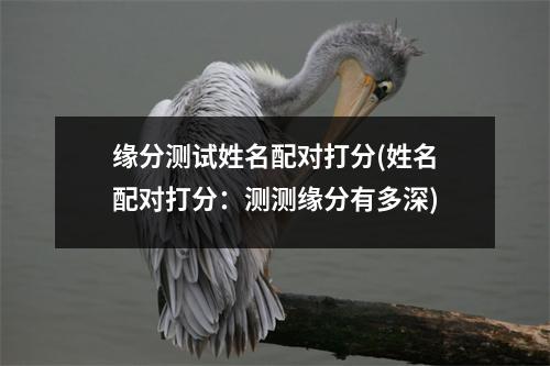 缘分测试姓名配对打分(姓名配对打分：测测缘分有多深)