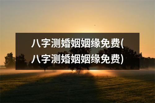 八字测婚姻姻缘免费(八字测婚姻姻缘免费)