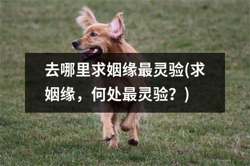 去哪里求姻缘灵验(求姻缘，何处灵验？)