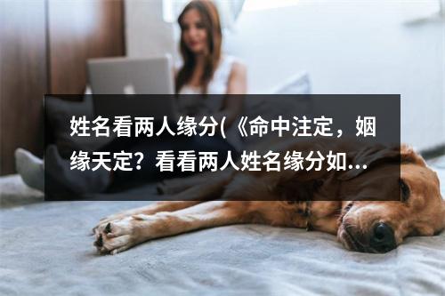 姓名看两人缘分(《命中注定，姻缘天定？看看两人姓名缘分如何！》)