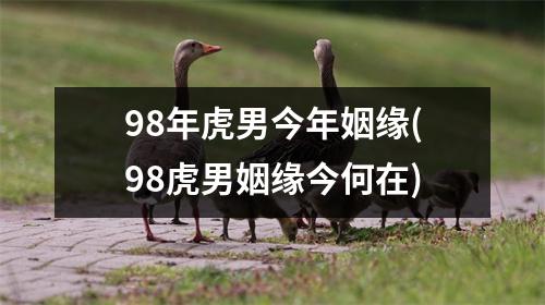 98年虎男今年姻缘(98虎男姻缘今何在)