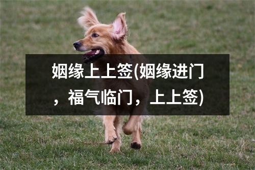 姻缘上上签(姻缘进门，福气临门，上上签)