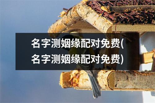 名字测姻缘配对免费(名字测姻缘配对免费)