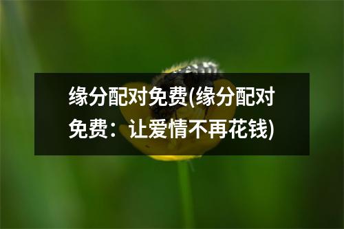 缘分配对免费(缘分配对免费：让爱情不再花钱)